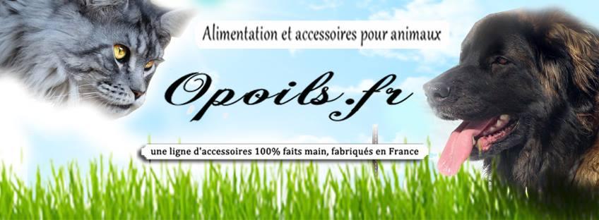 Partenaire 01