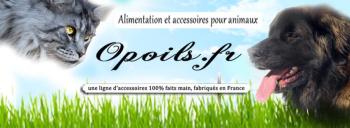 Partenaire 01