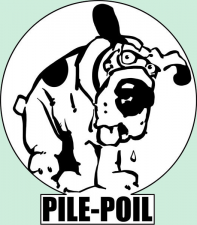 Pile poil