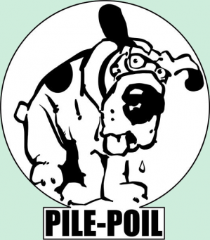 Pile poil